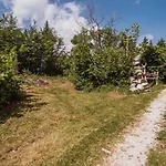 Postaja Mir In The Heart Of Triglav National Park Chalet Bohinj