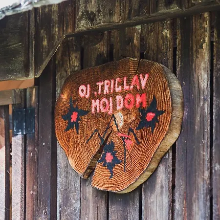 Postaja Mir In The Heart Of Triglav National Park Chalet Bohinj