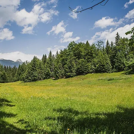 Postaja Mir In The Heart Of Triglav National Park Bohinj